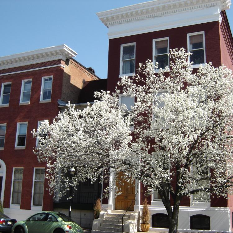 1403 Madison Avenue